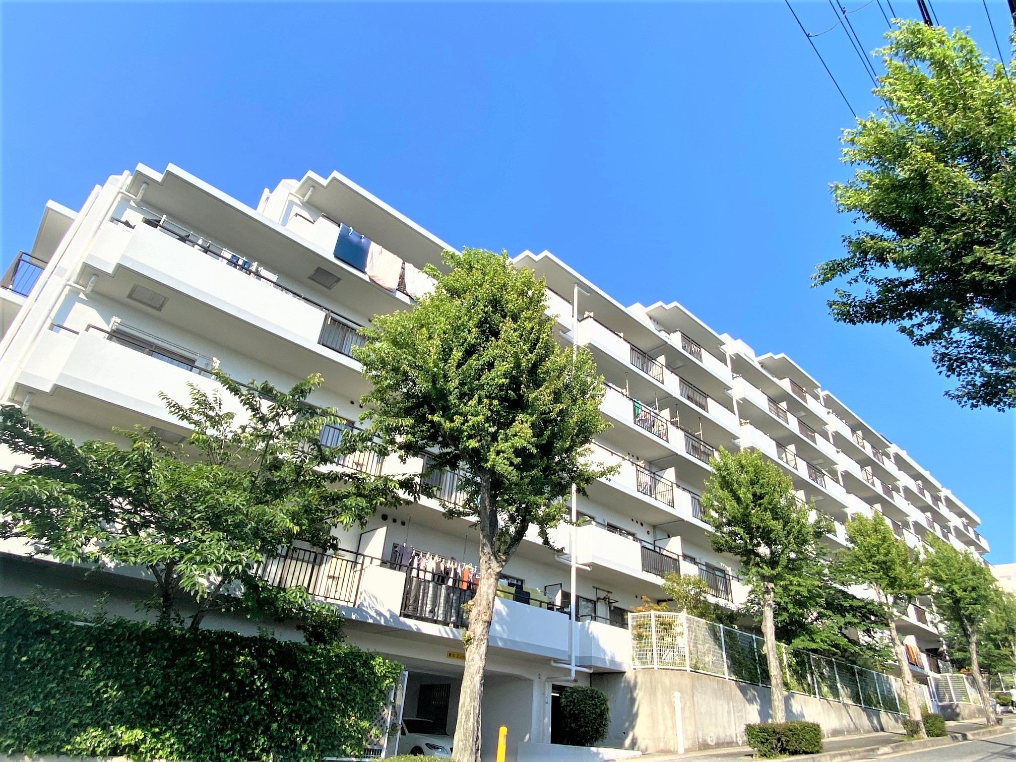 9月4日(土)9月5日(日) 【新築】 ライオンズマンション朝霧北802