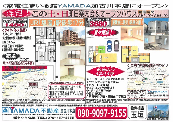 チラシ